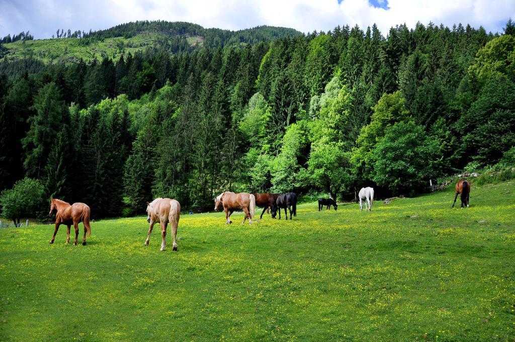 Villa Raderhof Feld am See Esterno foto