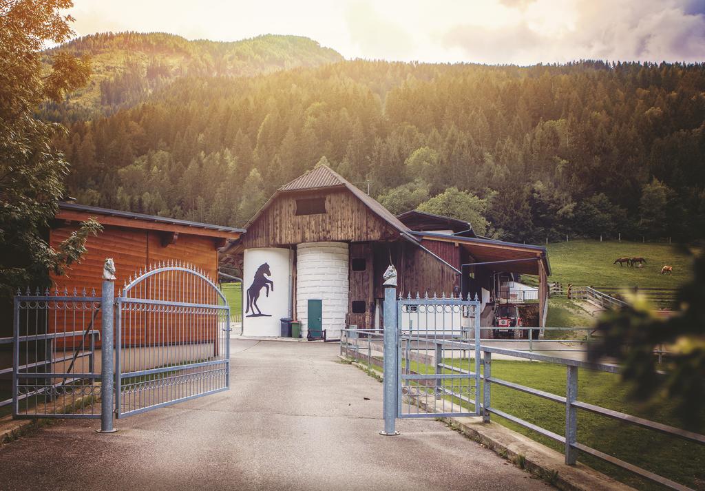 Villa Raderhof Feld am See Esterno foto